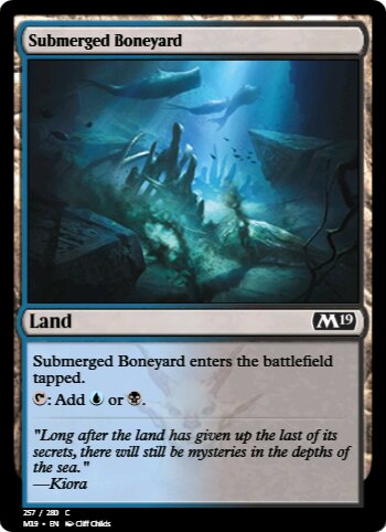 Submerged Boneyard