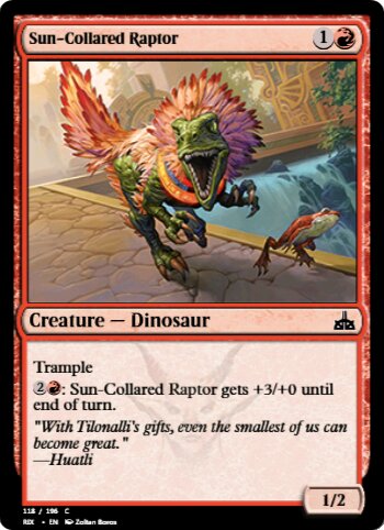 Sun-Collared Raptor