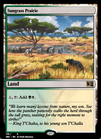 Sungrass Prairie
