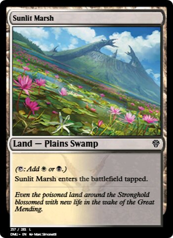 Sunlit Marsh