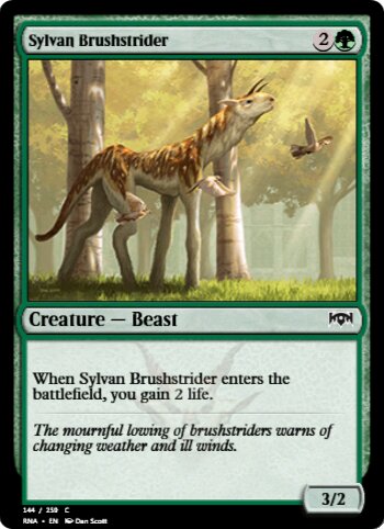 Sylvan Brushstrider
