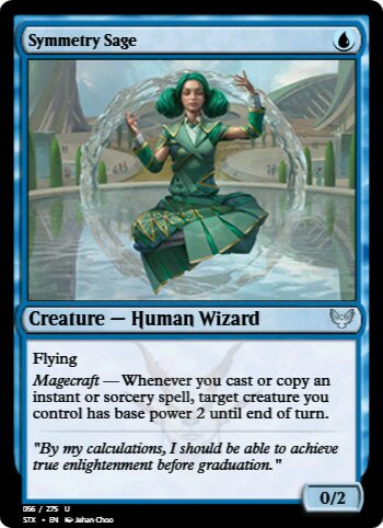 Symmetry Sage