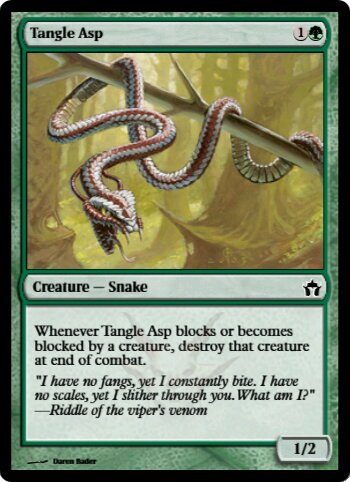 Tangle Asp