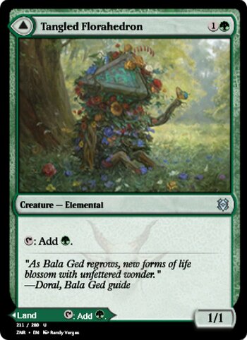 Tangled Florahedron