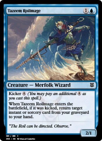 Tazeem Roilmage