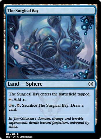The Surgical Bay