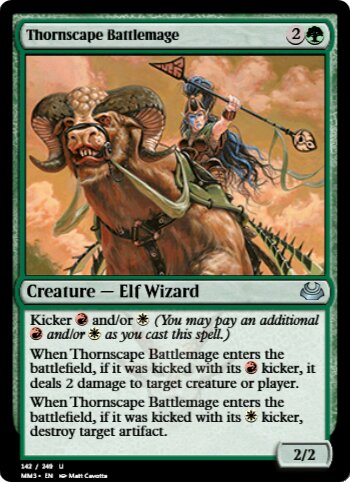 Thornscape Battlemage