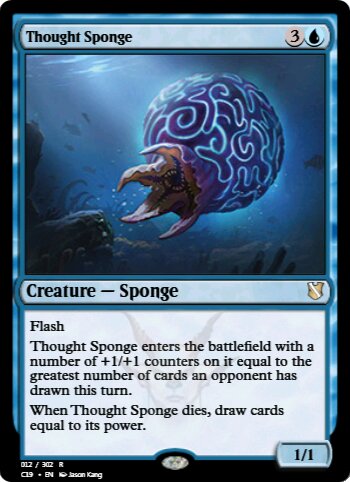 Thought Sponge