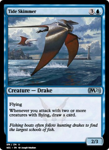 Tide Skimmer