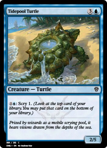 Tidepool Turtle