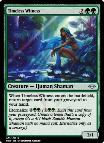 Timeless Witness