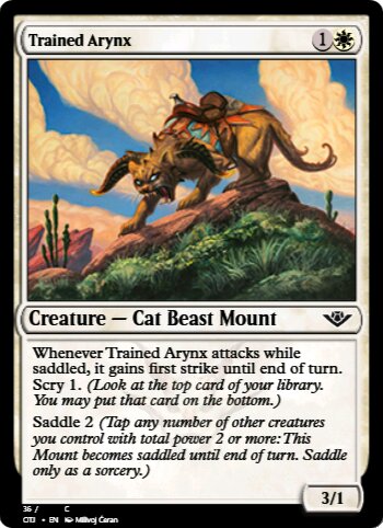 Trained Arynx