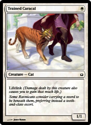Trained Caracal