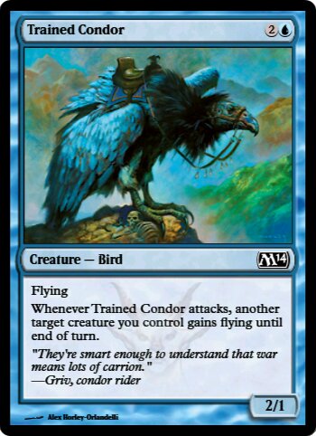 Trained Condor