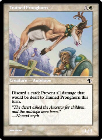 Trained Pronghorn