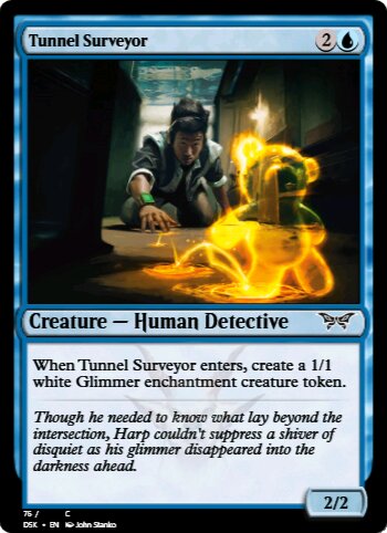 Tunnel Surveyor