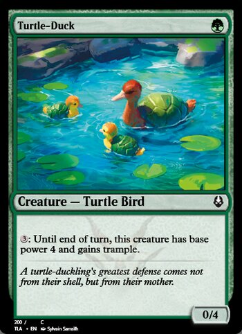 Turtle-Duck