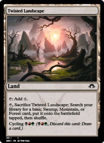 Twisted Landscape