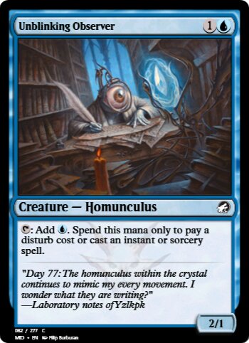 Unblinking Observer