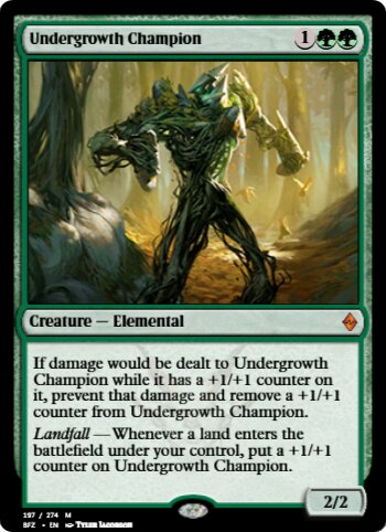 Undergrowth Champion