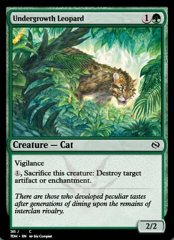 Undergrowth Leopard