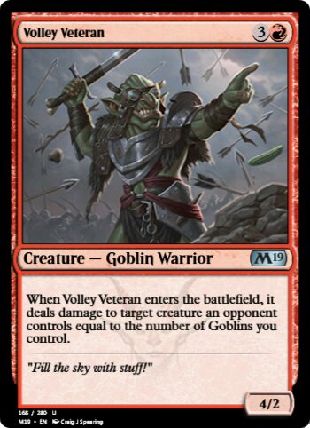Volley Veteran