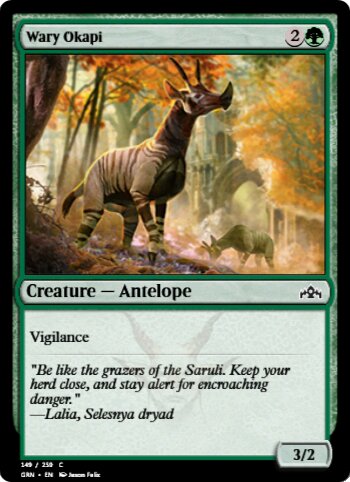 Wary Okapi