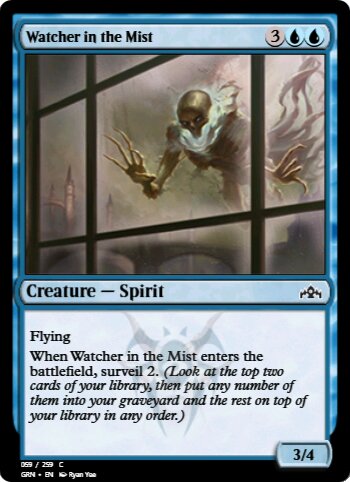 Watcher in the Mist