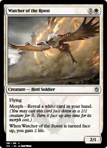 Watcher of the Roost