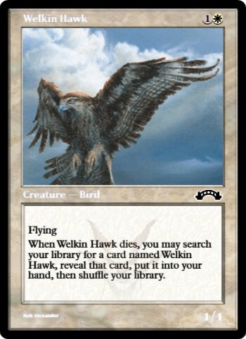 Welkin Hawk