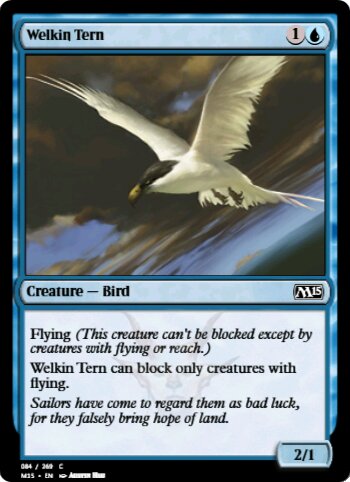 Welkin Tern