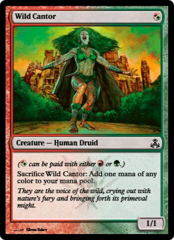 Wild Cantor