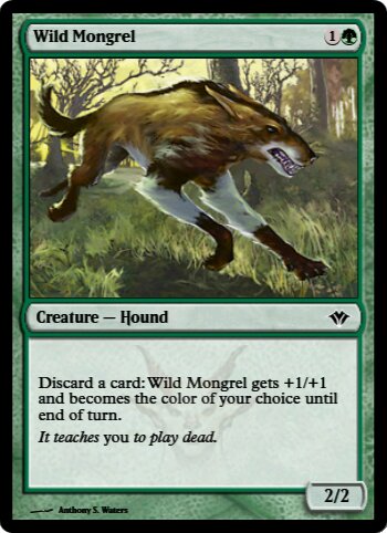 Wild Mongrel