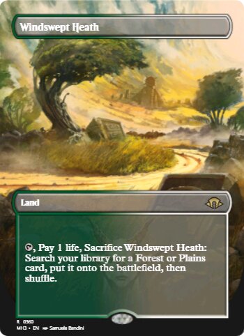 Windswept Heath