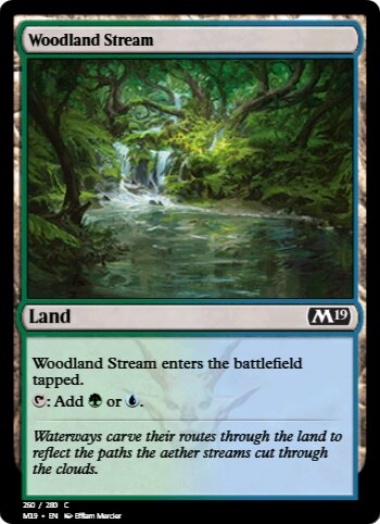 Woodland Stream