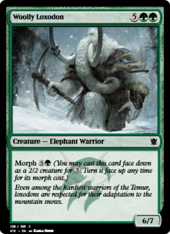 Woolly Loxodon