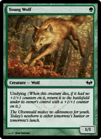 Young Wolf